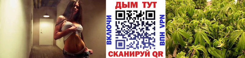 Конопля планчик Каменка